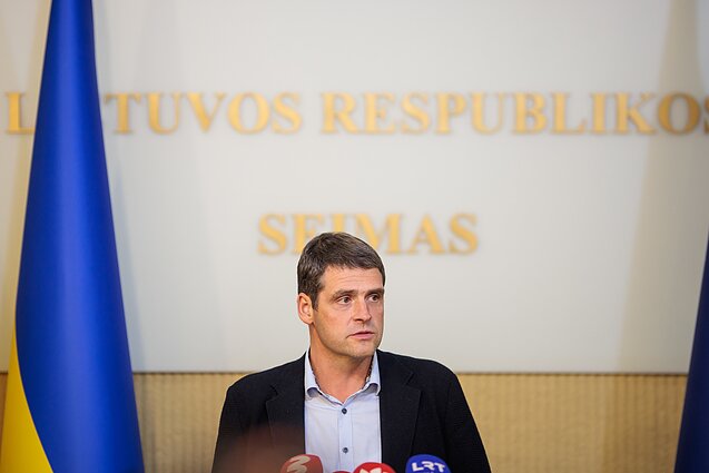 Remigijus Žemaitaitis 6 / 6 V. Raupelio / LRT nuotr.